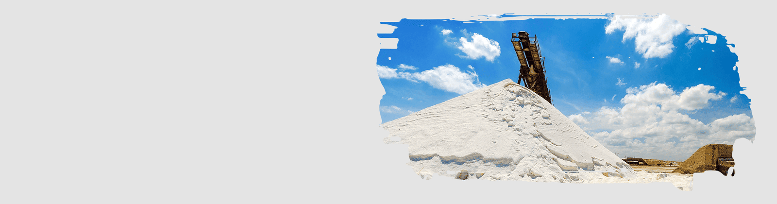 Jaydeep Chem Food Pvt Ltd