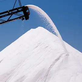 jaydeep-chem-food-image-2